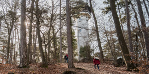 Beitragsbild des Blogbeitrags Frühlingswanderung auf den Guglzipf bei Berndorf
