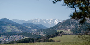 Beitragsbild des Blogbeitrags Die schönsten 10+ Wanderungen mit Schneebergblick südlich von Wien 
