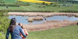 Beitragsbild des Blogbeitrags Ausflug ins Naturschutzgebiet Teichwiesen bei Mattersburg
