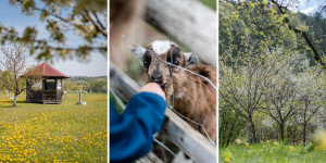 Beitragsbild des Blogbeitrags April 2022 – Rückblick & Highlights