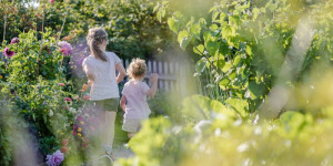Beitragsbild des Blogbeitrags Auf ins Abenteuer Garten: Die Gartensafari im Museumsdorf Niedersulz