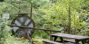 Beitragsbild des Blogbeitrags Kurze Wanderung durch den Naturpark Falkenstein