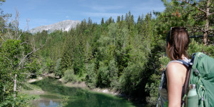 Beitragsbild des Blogbeitrags Geheimtipp Erlaufstausee: eine Wanderung am Eingang des Naturpark Ötscher Törmauer 