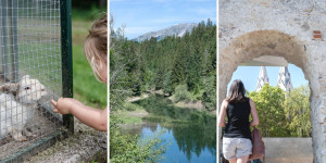 Beitragsbild des Blogbeitrags Juni 2022 – Rückblick und Highlights