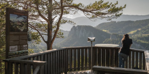 Beitragsbild des Blogbeitrags Die schönsten Wanderungen Niederösterreichs