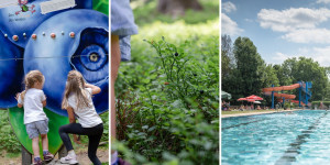 Beitragsbild des Blogbeitrags Juli 2022 – Rückblick und Highlights
