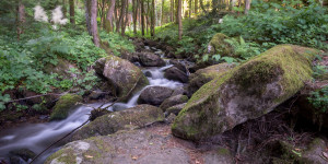 Beitragsbild des Blogbeitrags Abwechslungsreiche Wanderung durch die Steinbachklamm 