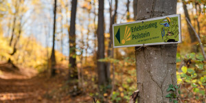 Beitragsbild des Blogbeitrags Der Erlebnisweg Peilstein: übers Wandern und Klettern rund ums Peilsteinhaus 