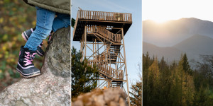 Beitragsbild des Blogbeitrags November 2022 – Rückblick und Highlights