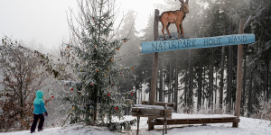 Beitragsbild des Blogbeitrags Sternchens Waldadvent auf der Hohen Wand 