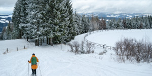 Beitragsbild des Blogbeitrags Die schönsten Wintererlebnisse im südlichen Niederösterreich 