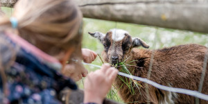 Beitragsbild des Blogbeitrags Familienausflug nach Sieding: ins Naturparkzentrum Sierningtal – Flatzer Wand 