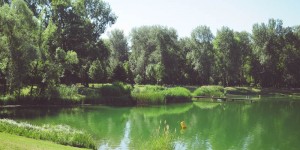 Beitragsbild des Blogbeitrags Das Aubad Tulln: Badespaß in Stadtnähe und mit Naturnähe