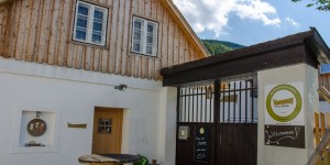 Beitragsbild des Blogbeitrags In der Privatbrauerei Wolfsbräu: Wo es um mehr als nur Bier geht