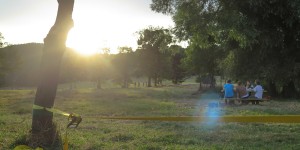 Beitragsbild des Blogbeitrags Eine der schönsten Picknickorte Wiens: die Steinhofgründe