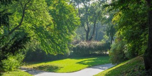 Beitragsbild des Blogbeitrags Freizeitvergnügen im Türkenschanzpark 