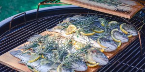 Beitragsbild des Blogbeitrags Gegrillte Regenbogenforelle von der Holzplanke