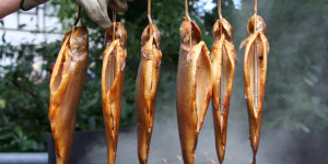 Beitragsbild des Blogbeitrags Forelle aromatisch Grillen und Räuchern  