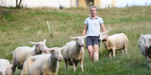 Beitragsbild des Blogbeitrags „Ich musste alles von Null an lernen“: Schafprodukte vom Mallnhof bei Innsbruck