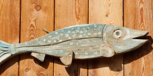 Beitragsbild des Blogbeitrags Kalt geräuchert, heiß begehrt: Lachsforellen aus der Fischzucht Ernst in Reutte