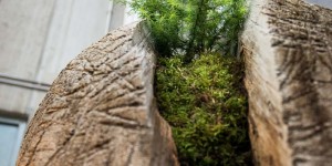Beitragsbild des Blogbeitrags Holz = Energie! Wie Biomasse ein Tiroler Dorf und die Welt verändert 