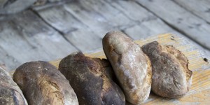 Beitragsbild des Blogbeitrags Unser täglich Brot – Wissenswertes von A bis Z