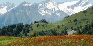 Beitragsbild des Blogbeitrags Vom Leben im Tal: das Virgental 