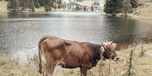 Beitragsbild des Blogbeitrags Bergsommerfamiliengenuss im Hotel Salzburger Hof 