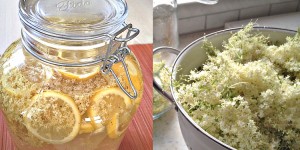 Beitragsbild des Blogbeitrags Hollersirup – einfach aber lecker 