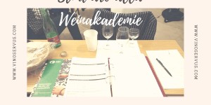 Beitragsbild des Blogbeitrags LA MIA ESPERIENZA ALLA WEINAKADEMIE IN AUSTRIA 