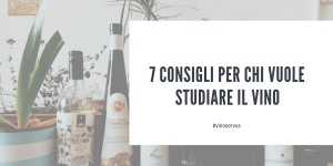 Beitragsbild des Blogbeitrags 7 CONSIGLI PER CHI VUOLE STUDIARE IL VINO