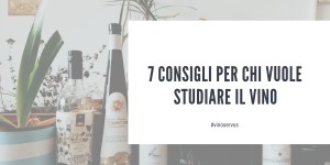 Beitragsbild des Blogbeitrags 7 CONSIGLI PER CHI VUOLE STUDIARE IL VINO 