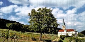 Beitragsbild des Blogbeitrags Mythen der Ernährung (1): Leben um zu essen oder Essen um zu leben