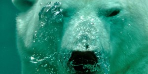 Beitragsbild des Blogbeitrags Meine Quellen in Sachen Ernährung und Gesundheit