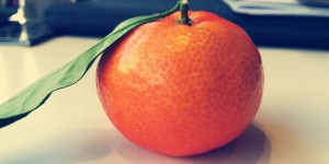 Beitragsbild des Blogbeitrags Eine Clementine aus Korsika und ein turbulenter Flug von Nizza nach Wien