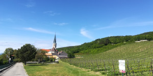 Beitragsbild des Blogbeitrags Nennen wir es Geistesgestörtheit #covid19 #Test