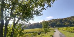 Beitragsbild des Blogbeitrags Eine Parabel: Die Gärtnerin und die Malerin