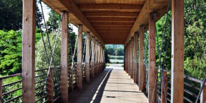 Beitragsbild des Blogbeitrags Die gemachte Spaltung in der österreichischen Gesellschaft 