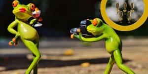 Beitragsbild des Blogbeitrags C-Promi-Olympiade startet morgen in Wien