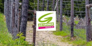 Beitragsbild des Blogbeitrags Grüne Richtungsänderung: „Das Fremde muss weg“