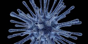 Beitragsbild des Blogbeitrags Das HC-HBT8-Virus legt das Gehirn lahm