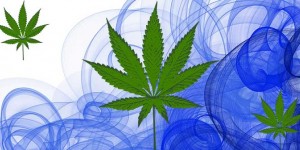 Beitragsbild des Blogbeitrags Österreichs Parteien legalisieren Marihuana