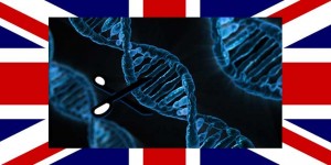 Beitragsbild des Blogbeitrags Briten erlauben Genmanipulation bei Föten – „Es geht nur ums Äußere“