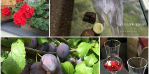 Beitragsbild des Blogbeitrags Tirol West = Food Lovers Top Destination