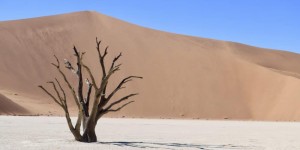 Beitragsbild des Blogbeitrags Namibia Reisetipps: Die schönsten Sehenswürdigkeiten und Fotostopps in Namibia