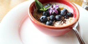 Beitragsbild des Blogbeitrags Die erste und einzig vegane Region Österreich per Ebike erkunden (mit Tipps für vegane Almen und Restaurants)