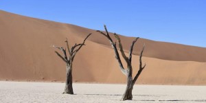 Beitragsbild des Blogbeitrags Sossusvlei Namibia – Im Angesicht der höchsten Dünen der Welt 