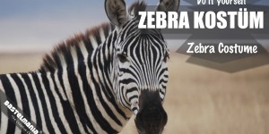 Beitragsbild des Blogbeitrags Dein Zebra Kostüm für gestreifte Signalwirkung! 