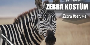 Beitragsbild des Blogbeitrags Dein Zebra Kostüm für gestreifte Signalwirkung!