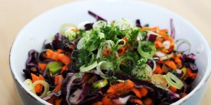 Beitragsbild des Blogbeitrags Karotten-Rotkrautsalat